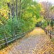 Perkiomen Trail near Mill Grove apartments