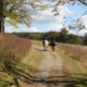 Horses walking on Perkiomen trail