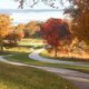 Walking trail at Valley Forge